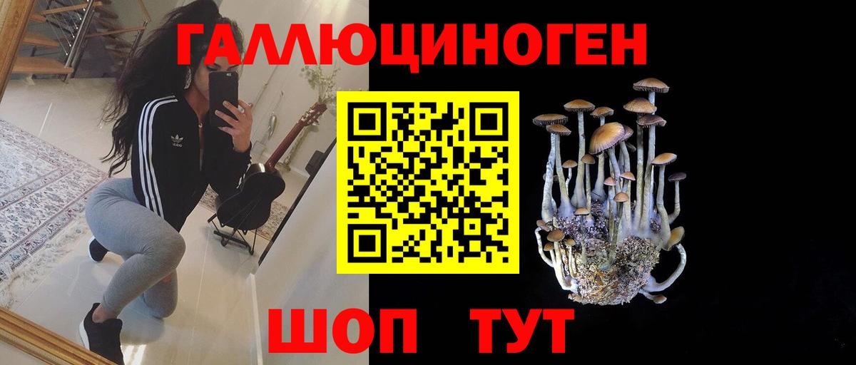 Галлюциногенные грибы Psilocybine cubensis Красноярск