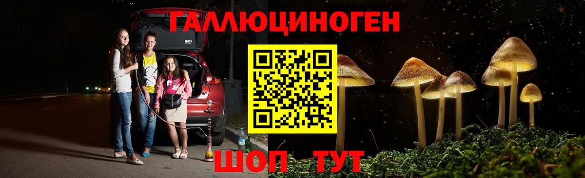 Псилоцибиновые грибы Psilocybine cubensis  Вход с VPN  Красноярск  Галлюциногенные грибы GOLDEN TEACHER 